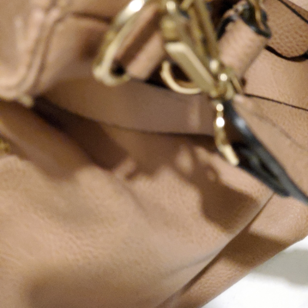 Big Budda CREAM AND PEACH tote. - Picture 10 of 16